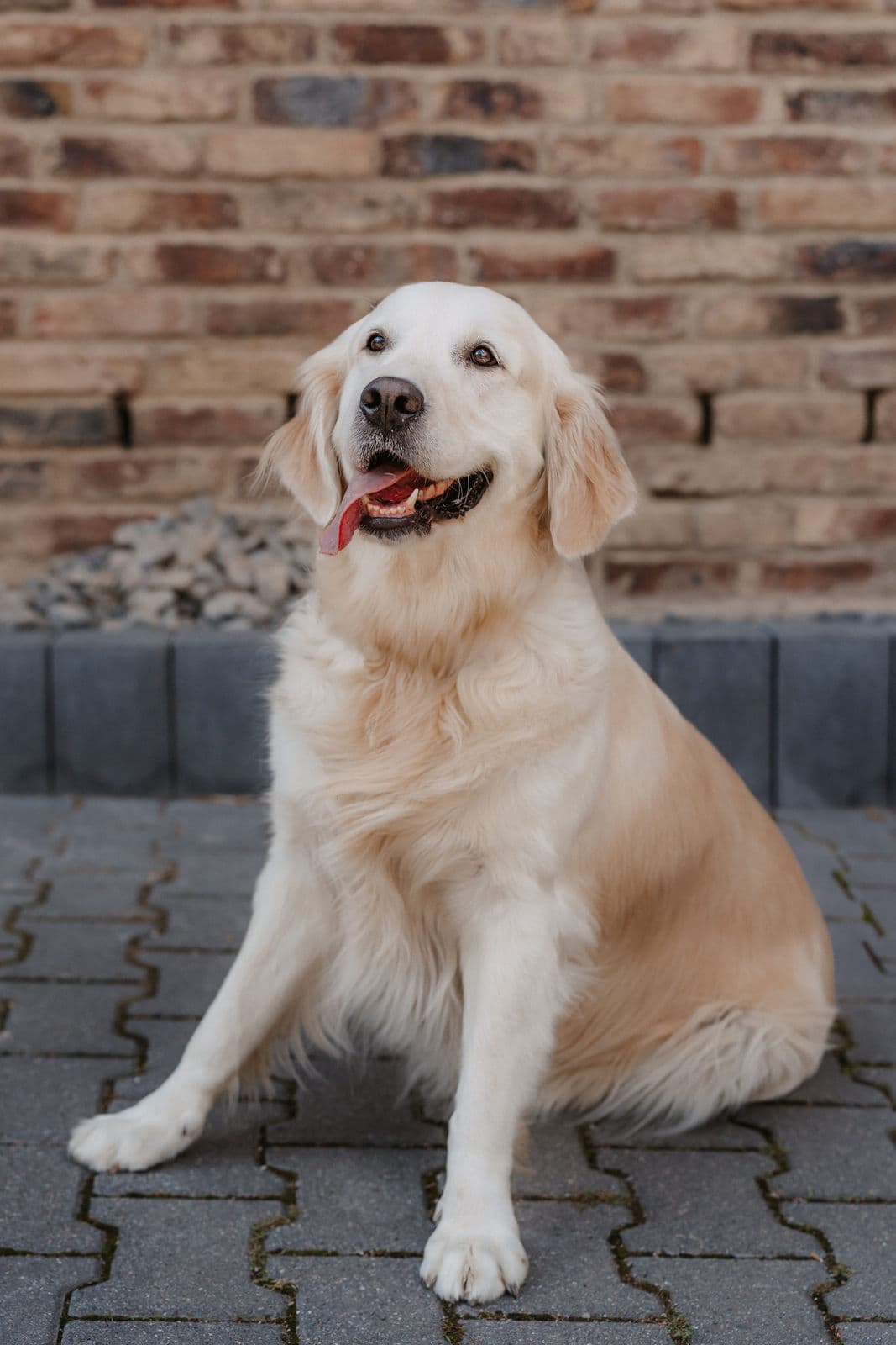 Nala
